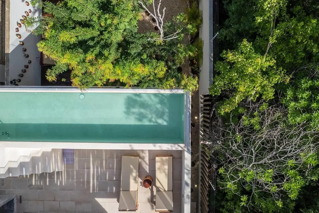 Villa El Paraiso Ikebana Tulum Oasis, Pool And Secured Space Mexico